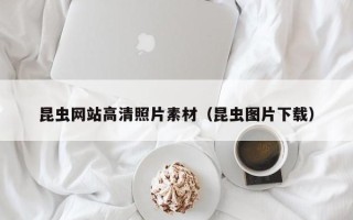晋江昆虫网站高清照片素材（昆虫图片下载）